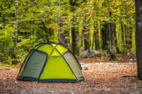 Natursköna skogscamping — Stockfoto