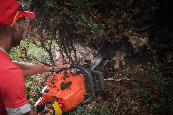 Gasoline Power Tool Job Caucasian Men Professional Chainsaw Cutting Out — Stock Photo, Image