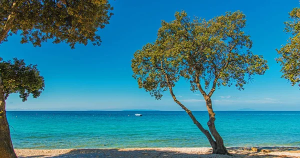 Scénická Sunny Croatian Sea Front Středozemní Moře Skalistá Pláž Tyrkysová — Stock fotografie