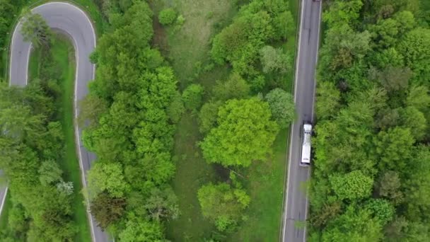 高密度針葉樹林を通って道路上の2つのバスコーチの空中映像 旅と交通のテーマ — ストック動画