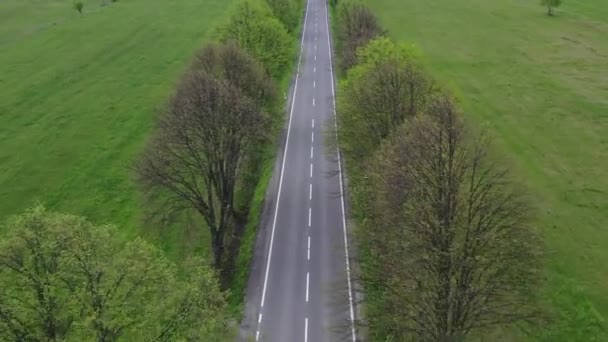 Aerial Footage Straight Countryside Road Lines Trees Both Sides Highway — 비디오