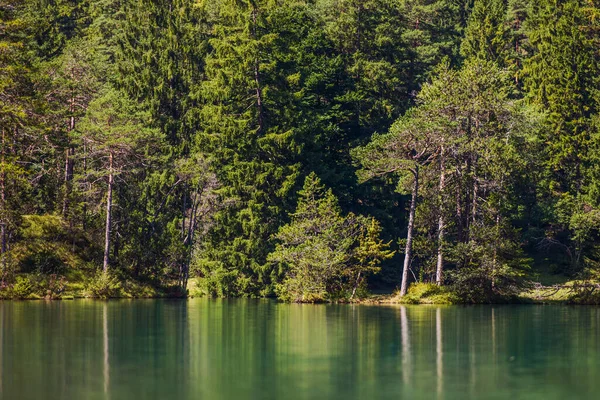 巴伐利亚风景湖和森林线 — 图库照片