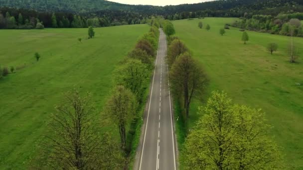 Widok Lotu Ptaka Wiejskiej Drogi Drzew Hills Pola Zielonej Trawy — Wideo stockowe