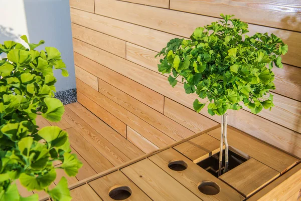 Maßgeschneiderte Stilvolle Gartenmöbel Aus Exotischem Holz Und Veranda Eleganter Holztisch — Stockfoto