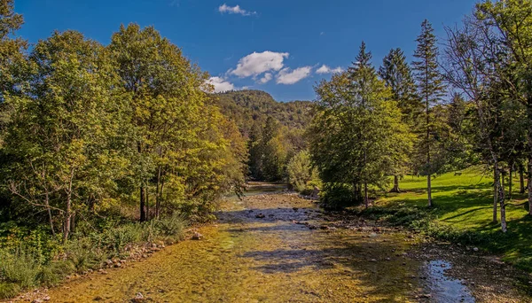 Slovenya Kırsalında River Hills Ağaçlarla Huzurlu Rahatlatıcı Manzara — Stok fotoğraf