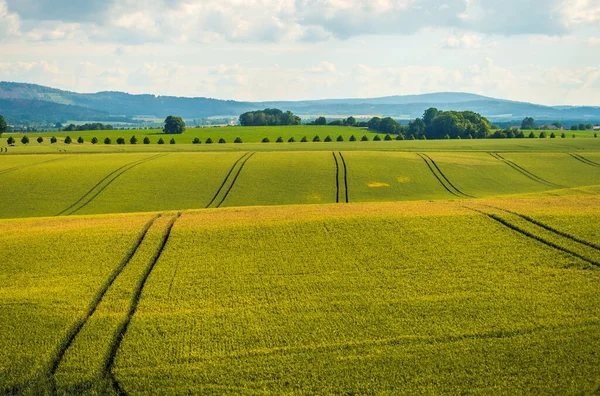 Paisaje Rural Verano Baja Silesia República Polonia Tema Agricultura —  Fotos de Stock