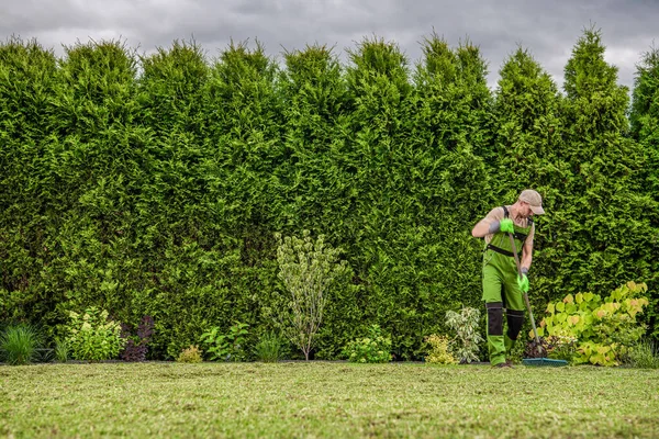 Kavkazský Zahradník Čtyřicítce Raking Freshly Mowed Grass Backyard Garden Lawn — Stock fotografie