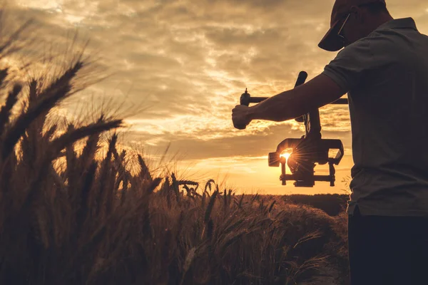 电影和股票制作 40多岁的白人摄象机操作员 在黑麦场之间拍摄稳定的夕阳西下 — 图库照片