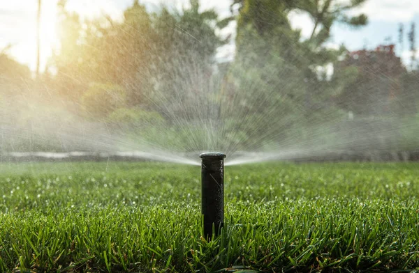 Gardening Landscaping Industry Automatic Backyard Garden Lawn Water Sprinkler Action — Stock Photo, Image
