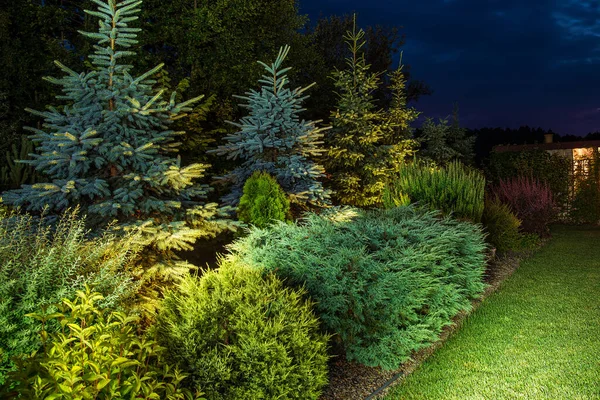 Kolorowy Ogród Podświetlony Mały Trawnik Temat Ogrodnictwa Krajobrazu — Zdjęcie stockowe