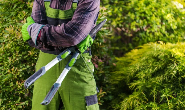 Professionele Tuinman Met Grote Schaar Zijn Handen Onderste Lichaamsdeel Close — Stockfoto