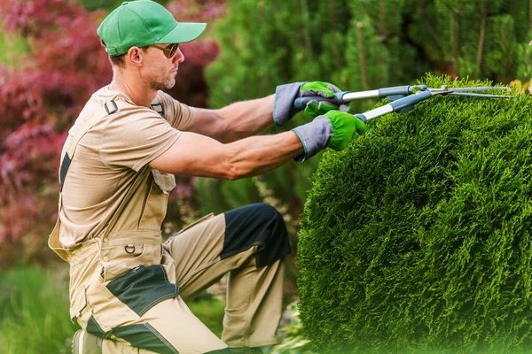 Jardinero Profesional Mediana Edad Recortar Dar Forma Pequeños Arbustos Usando — Foto de Stock