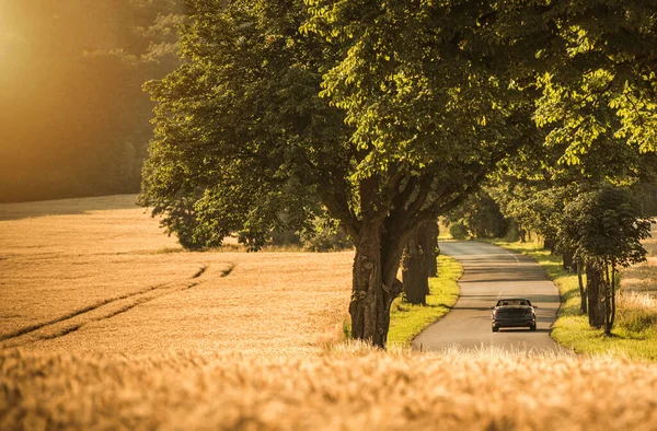 Nowoczesny Kabriolet Samochodowy Wiejskiej Drodze Summer Time Road Trip Podczas — Zdjęcie stockowe