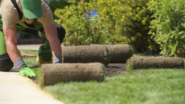 Mannelijke Bouwvakker Installeren Van Nieuwe Residentiële Achtertuin Gazon Door Het — Stockvideo