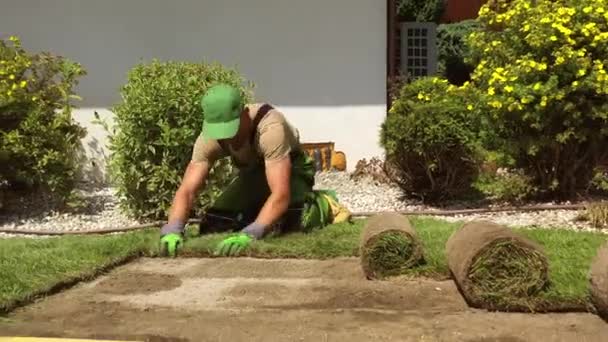 白人男性景観ガーデナー屋外スイミングプール付きの民間住宅ヤードで新しい芝生のために芝を敷設 — ストック動画