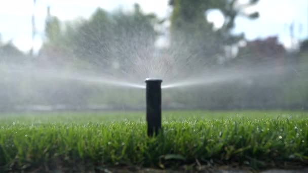 Privat Egendom Trädgård Bevattningssystem Bevattning Gräsmatta Vattenhantering Från Sprinkler Med — Stockvideo