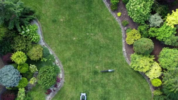 Schöne Landschaft Mit Großem Grünen Rasen Und Umliegenden Gartenbereichen Männliche — Stockvideo