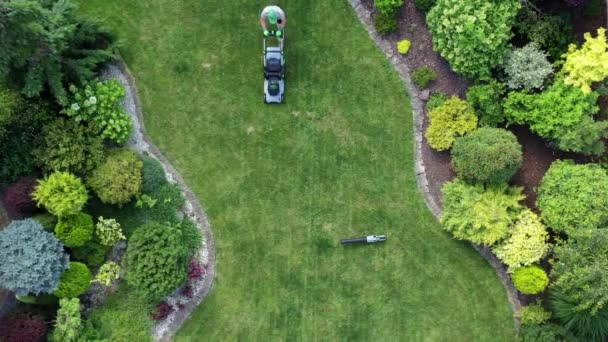 Grandes Árboles Césped Hierba Verde Arbustos Paisaje Jardín Bien Mantenidos — Vídeo de stock