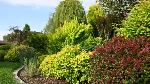 Gyönyörű nyári privát kert táj színes növények és görbe kő szélén. Tájépítészet angol nyelven Cottage Style Garden. 