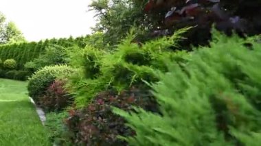 Güzel renkli bitkiler ve ağaçlarla dolu huzurlu bir yaz bahçesi. Profesyonel Tasarımlı Peyzaj Yerleşkesi. 