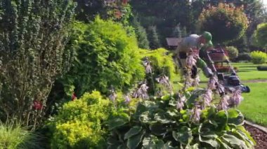 Erkek işçiler çim biçme makinesinde pil değiş tokuşu yapıyor. Profesyonel Bahçıvan Büyük Serene Arka Bahçesinde Yeşil Çim Kesmeye Hazır. 