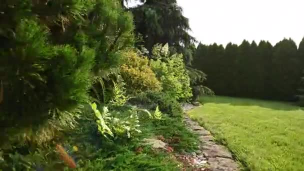 Ładne Bujne Prywatne Projektowanie Ogrodów Dużym Podwórku Mieszkalnym Zielone Liści — Wideo stockowe