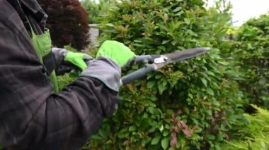 Bahçede bahçe makası ile çalı çırpı biçen adamı yakından görebiliriz. Yazın ev ve bahçe bakımı kavramı.