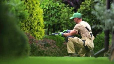 Tecrübeli erkek bahçıvan özel mülk ve bahçe işleriyle ilgileniyor. Uzman Bahçıvan Kesme ve Düşük Sebze Şekillendirme.