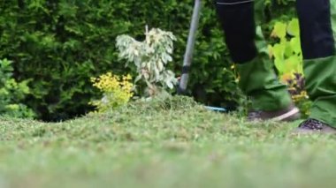 Erkek bahçıvanın Arka bahçedeki yeni kesilmiş çim kesitlerini temizlemek için tırmık kullanmasını kapatın.. 