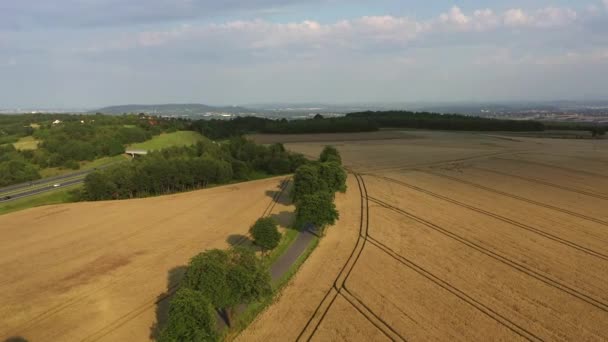 Panorama Luftaufnahme Von Riesigem Ackerland Mit Roggen Und Durchschneidendem Landstraßensystem — Stockvideo