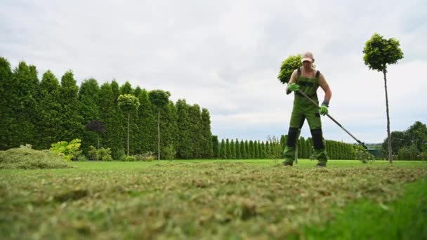 Hombre Usando Rastrillo Para Limpiar Gran Área Verde Hierba Recién — Vídeos de Stock