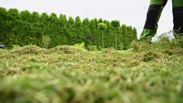 Літнє Садівництво Обслуговування Крупним Планом Людина Raking Clips Cowing Трава — стокове відео