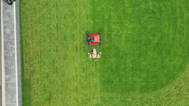 Szakmai Férfi Kertész Performing Routine Summer Care Lawn Garden Private — Stock videók