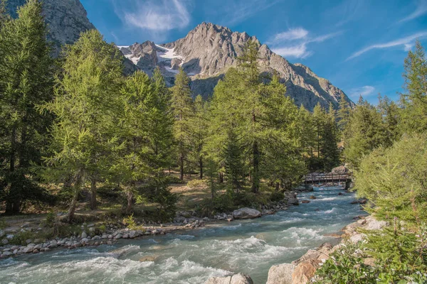 Dağ Nehri Manzaralı Talyan Alpleri Yaz Manzarası Mont Blanc Massif — Stok fotoğraf