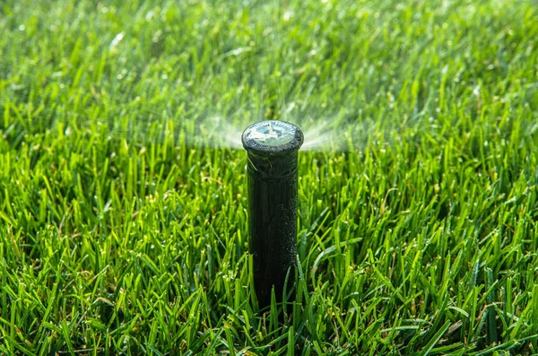 Garden Lawn Irrigation System Technologies Automatic Pop Ground Sprinkler Action — Stock Photo, Image