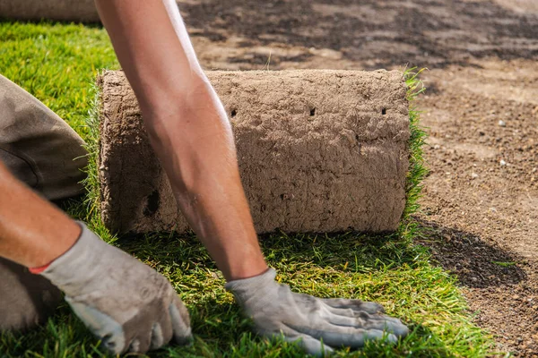 Homens Caucasianos Instalando Relva Natureza Rolo Perto Paisagismo Jardinagem Indústria — Fotografia de Stock