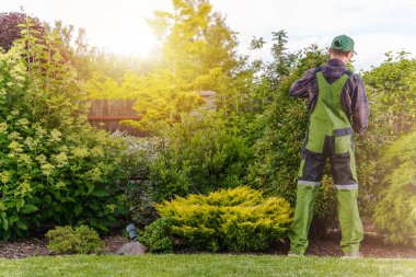 Yeşil Üniformalı Profesyonel Beyaz Bahçıvan Tarafından Yapılan Konut Bahçesi Bakımı