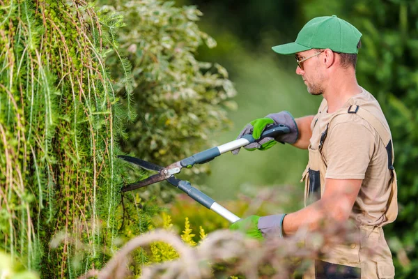 Landskaps Och Trädgårdsindustri Säsongsträdgårdsväxter Trimning Arbete Utförs Professionell Vit Trädgårdsmästare — Stockfoto