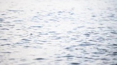 Yavaş Çekimde Sakin Deniz Yüzeyi