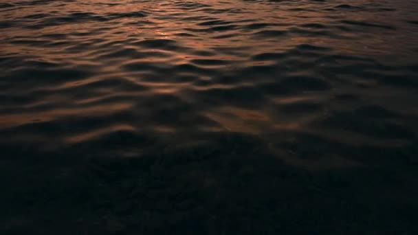 Calm Shallow Bay Water Summer Sunset Slow Motion Footage Inglés — Vídeos de Stock