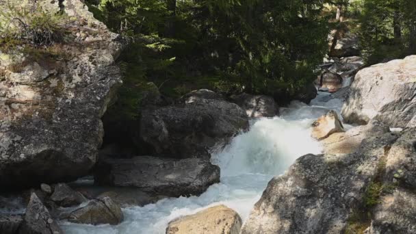 Scenic Mountain River Fluye Movimiento Cámara Lenta — Vídeos de Stock