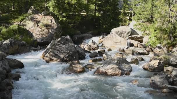 Alpine Mountain Stream Flow Slow Motion Rocky Terrain Inglês Alpes — Vídeo de Stock