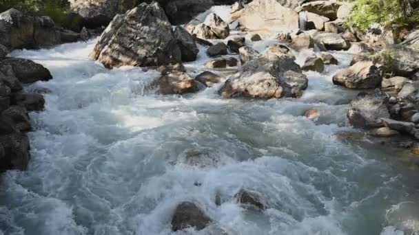 Água Cristalina Intocada Córrego Montanha Filmagem Lenta Rio — Vídeo de Stock
