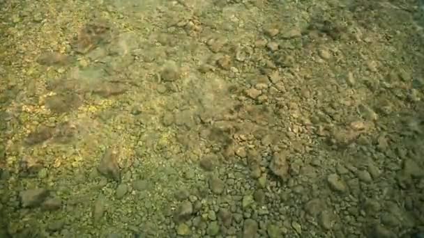 Yavaş Çekim Jeolojik Temadaki Rocky Sea Floor Sığ Arkaplanı — Stok video