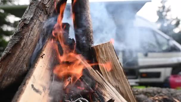 Burning Campfire Κοντινό Πλάνο Αργής Κίνησης Καταγραφές Ξύλου Που Καίγεται — Αρχείο Βίντεο
