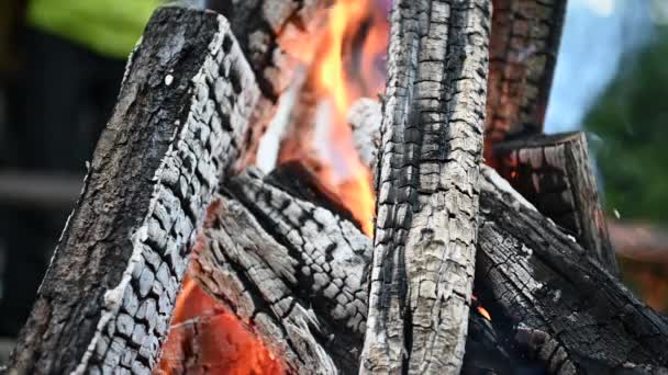 キャンプのテーマ スローモーション映像でキャンプファイアで薪の丸太をほぼ焼き尽くす — ストック動画
