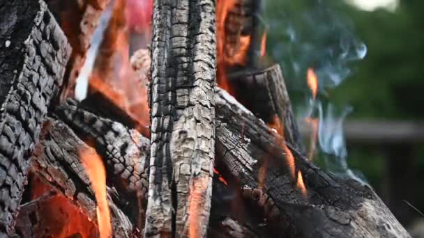 Brennende Holzscheite Aus Nächster Nähe Zeltplatz Stellplatz Lagerfeuer — Stockvideo