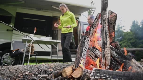 Νεαροί Λευκοί Φίλοι Αράζουν Στο Κάμπινγκ Κοντά Στο Campfire Σχέδιο — Αρχείο Βίντεο