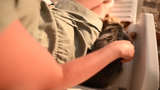 Femme Caucasienne Dans Quarantaine Avec Son Chien Australien Silky Terrier — Video