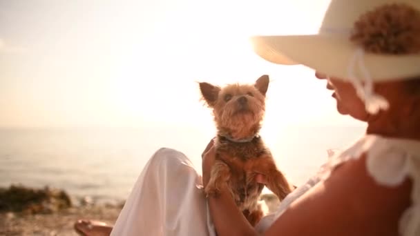 60代の白人女性が彼女のシルキーテリア犬とビーチで遊んでいる間 — ストック動画